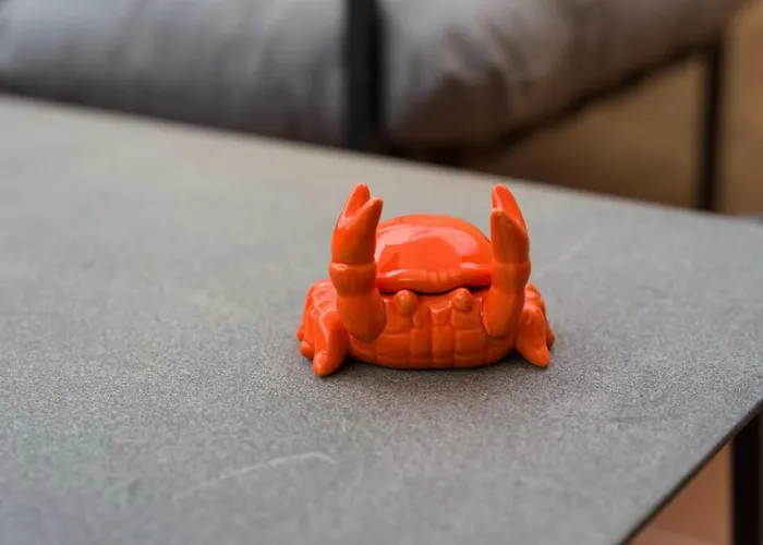 Sunny & Vibrant 科拉雷侯